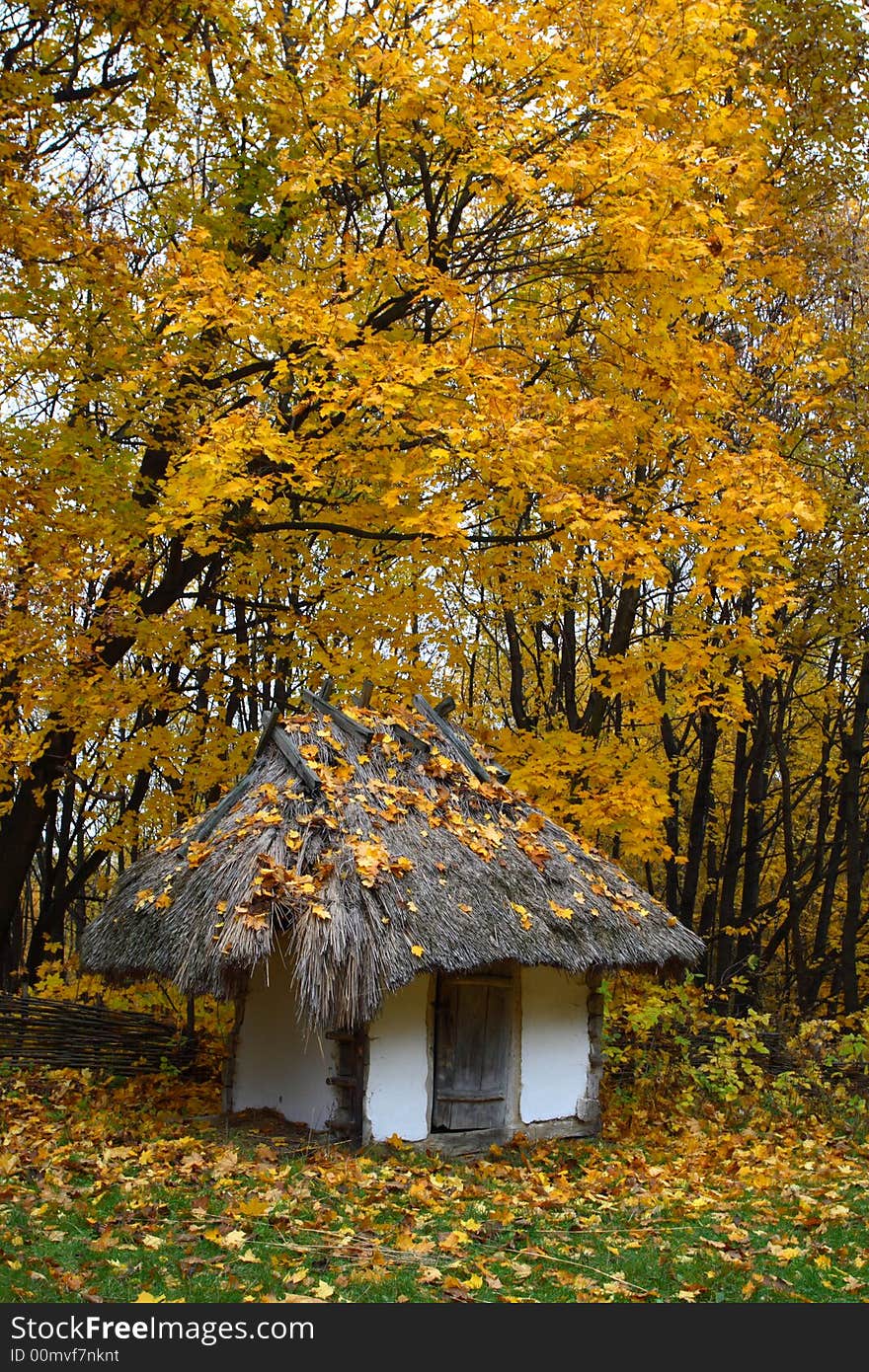 Little white cottage with a thatch roof in the autumn forest