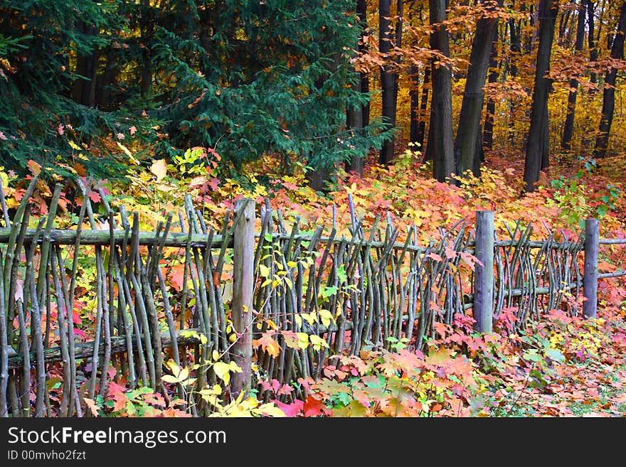 Wattle-fence in the autumn forest beautiful yellow orange and red leaves