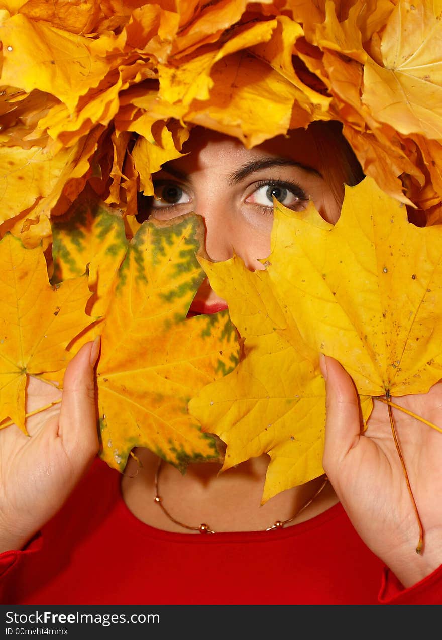 Beautiful girl half covered behind yellow autumn leaves.