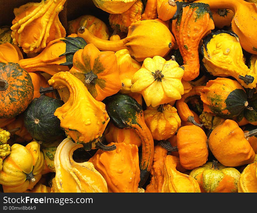 Many small gourds of various shapes all piled together. Many small gourds of various shapes all piled together.