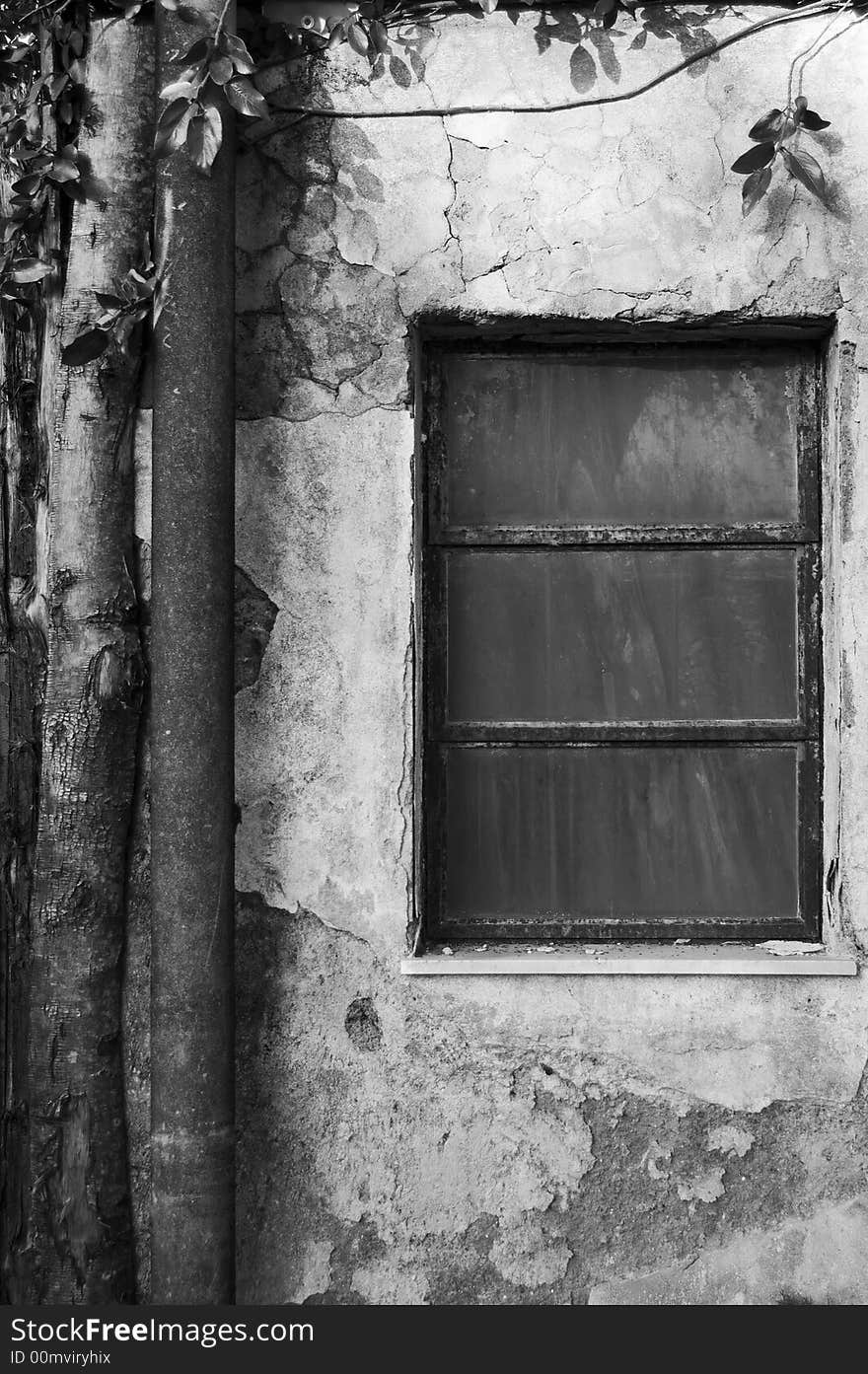 Black & white still life of an old window