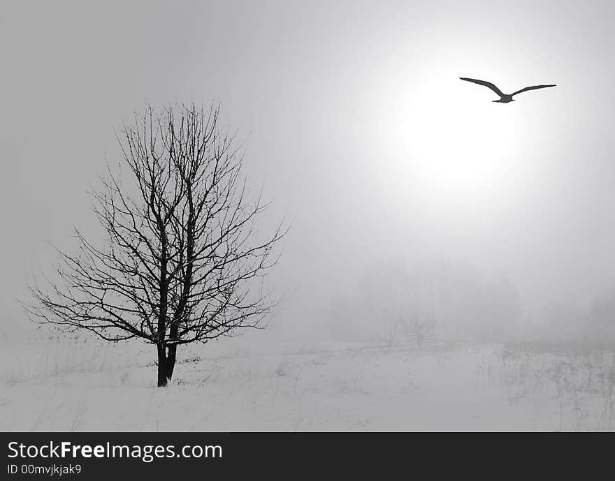 Lonely tree in the mist. Lonely tree in the mist