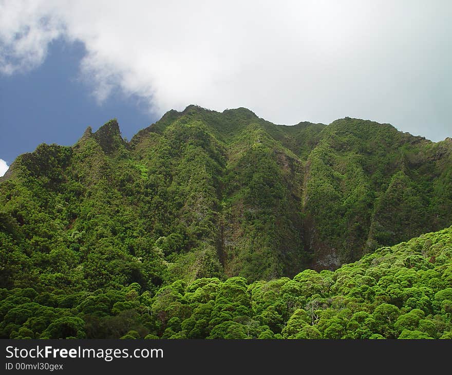 The lush volcanic mountains of Hawaii. The lush volcanic mountains of Hawaii.