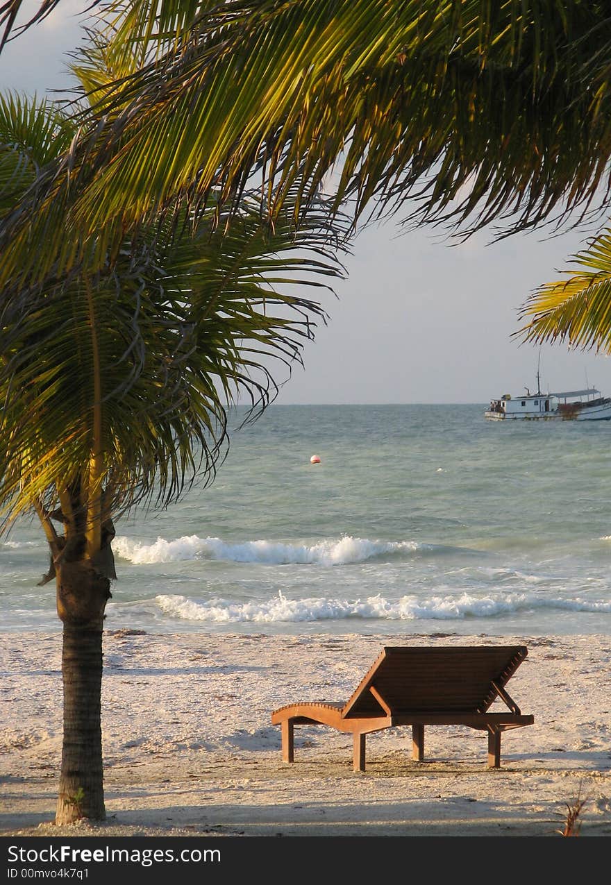 Sunlight seeps through the palm trees on a tropical beach. Sunlight seeps through the palm trees on a tropical beach