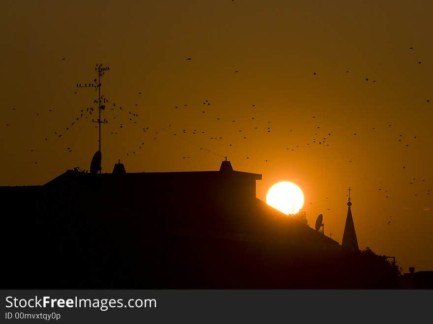 Birds on an antenna