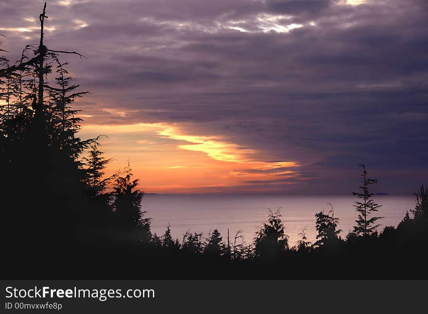 Tree Silhouette Against Sunset