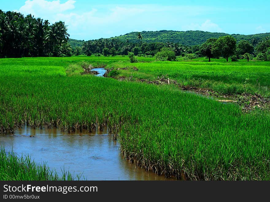 An expression of raw beauty of mother nature. An expression of raw beauty of mother nature