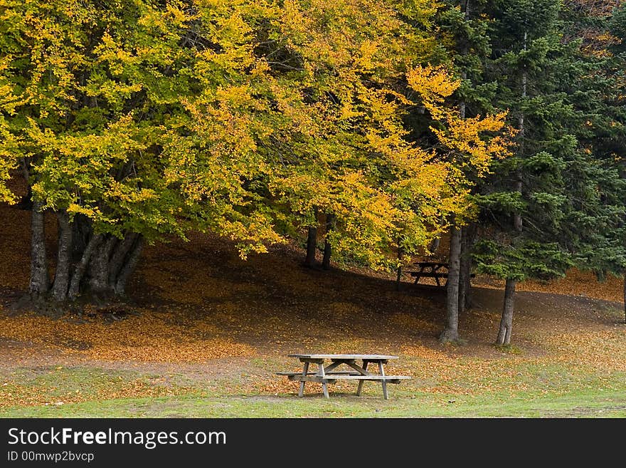 A nice autumn day in the park