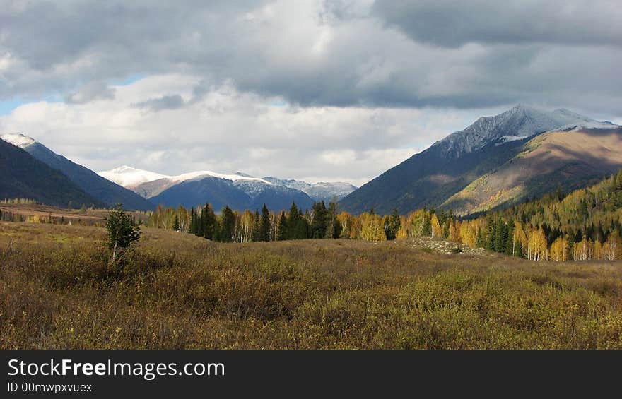 Snow mountains and colorful forest in fall. Snow mountains and colorful forest in fall