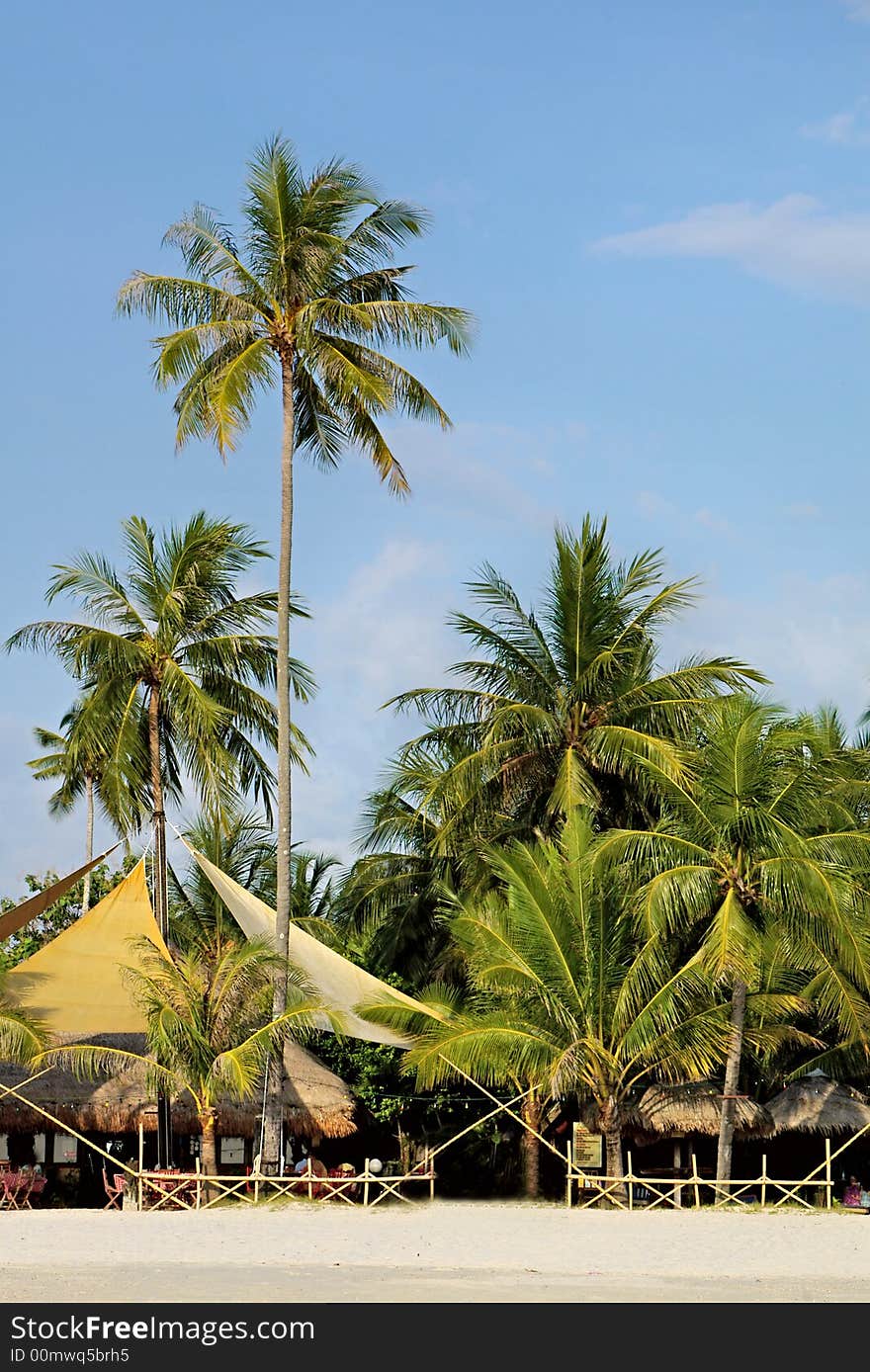 Sand beach in tropics