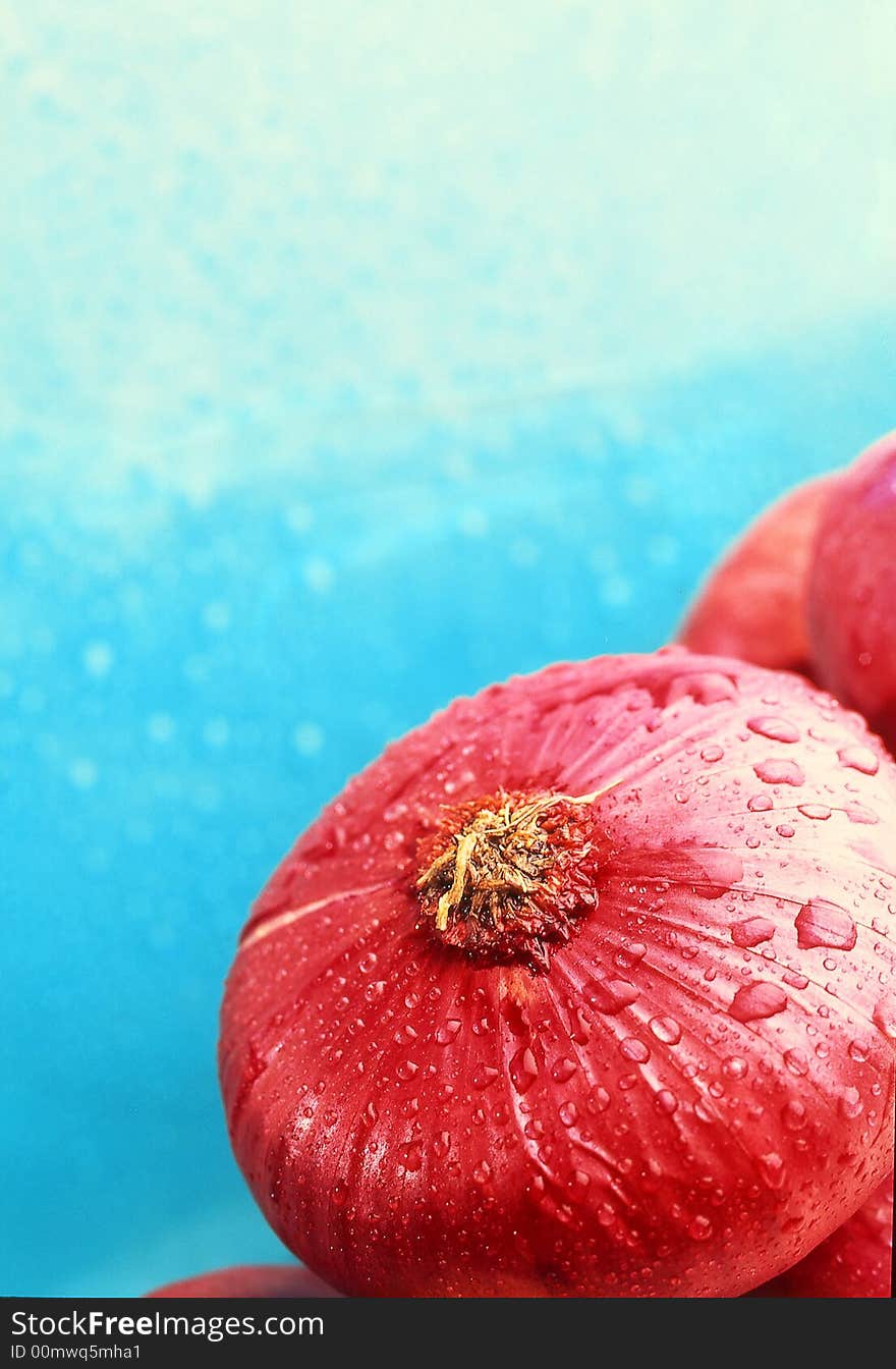 Onion on a blue background