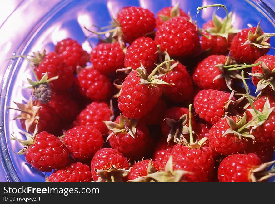 Raspberry on a dark blue background