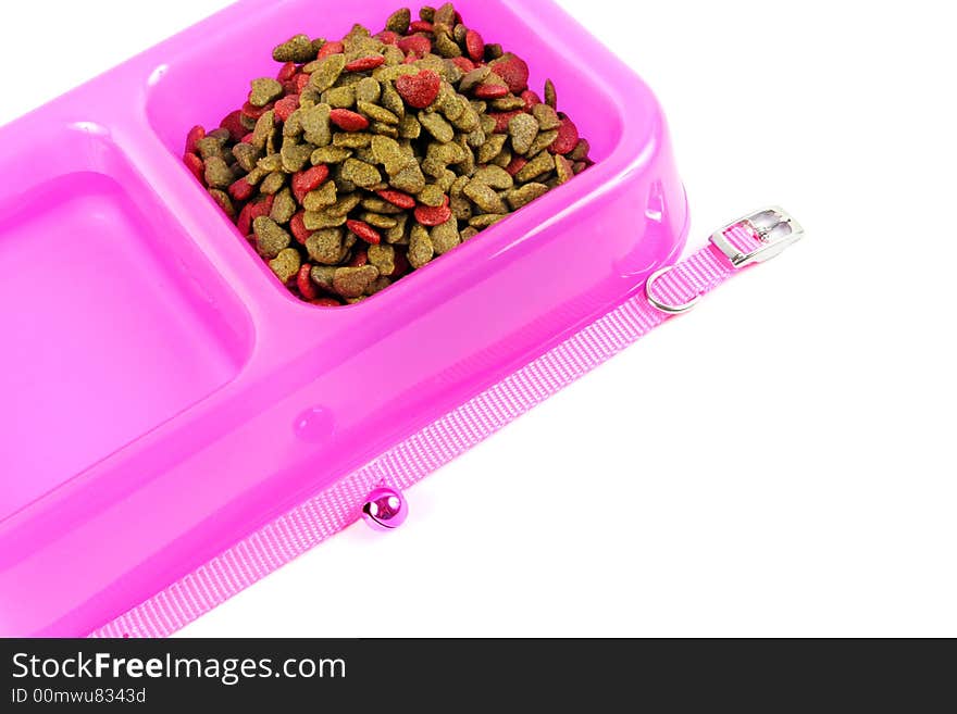 Bowl of pet food and water isolated.