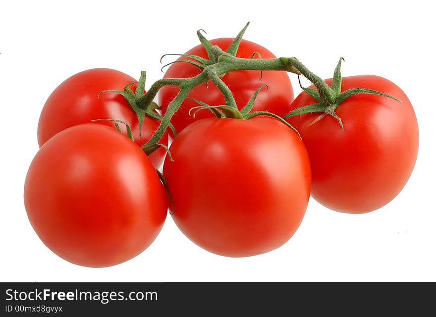 Tomatoes isolated on a white background