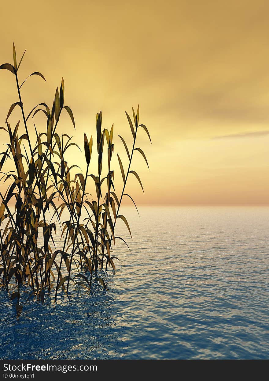 Water plants on a sea sunset  background  -  3D scene. Water plants on a sea sunset  background  -  3D scene.