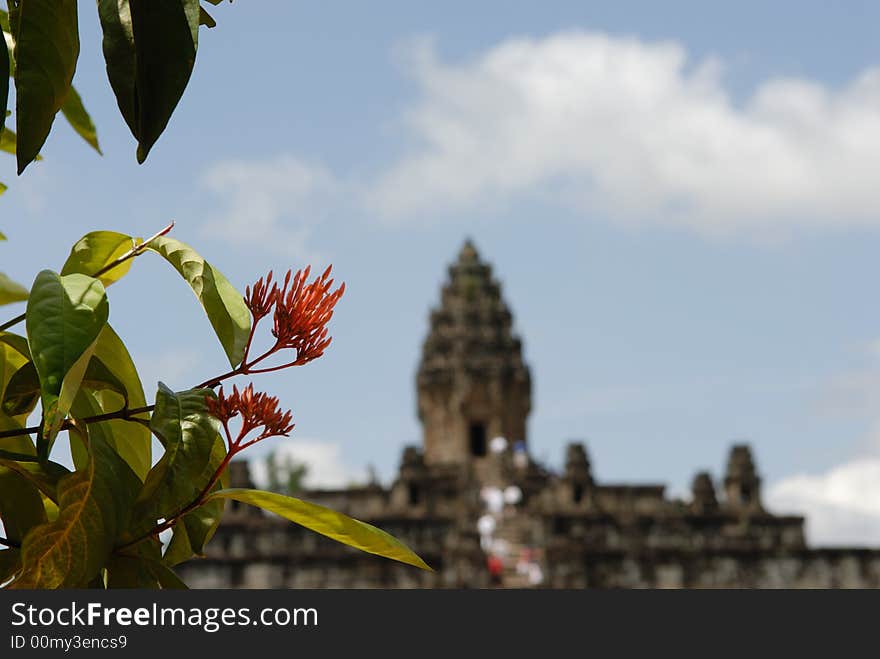 Temple flower Bakong, Angkor, Cambodia