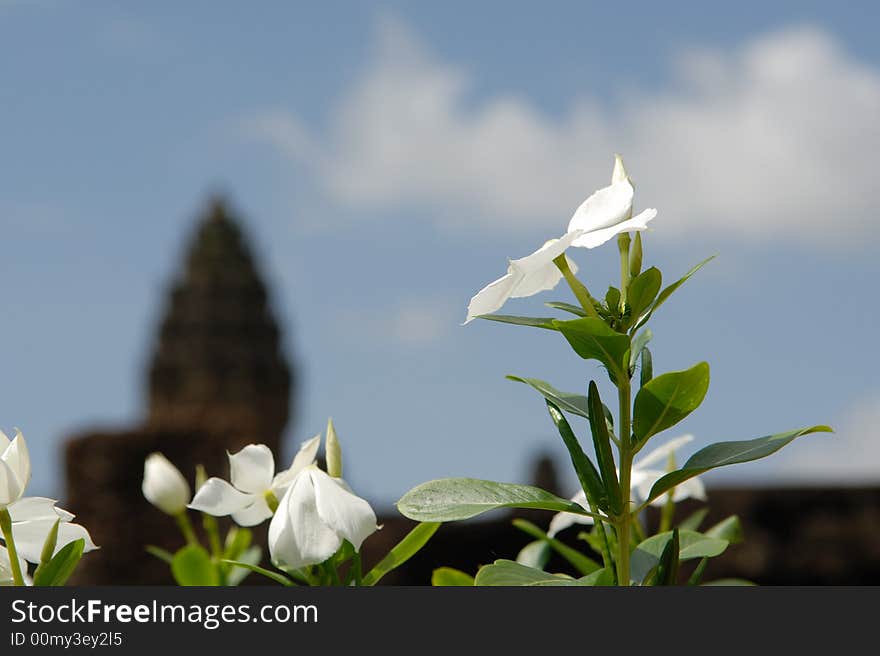 Flower Temple, Bakong, Angkor, Cambodia