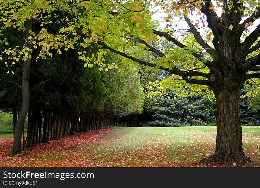 Beautiful autumn scene in a park in michigan