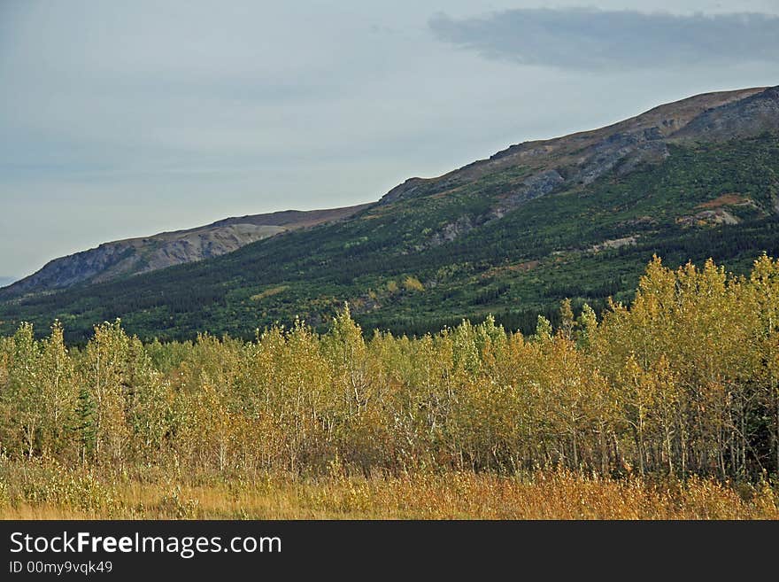 Scene outside of Fairbanks, Alaska. Scene outside of Fairbanks, Alaska