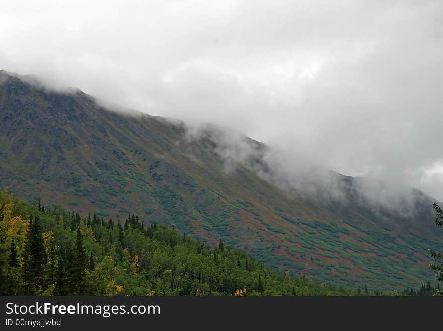 Alaskan Landscape