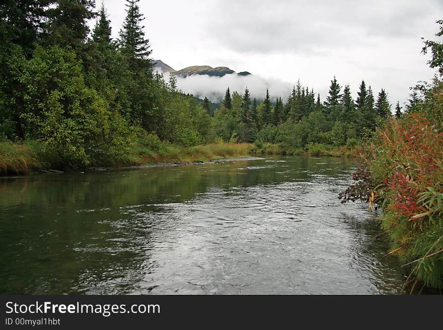 Alaska Stream