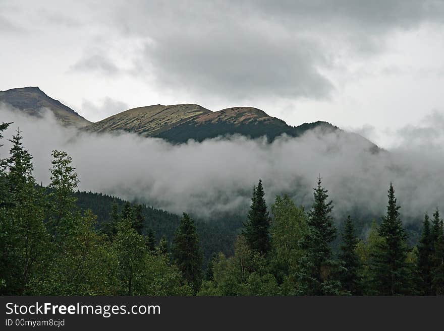 Alaskan Landscape