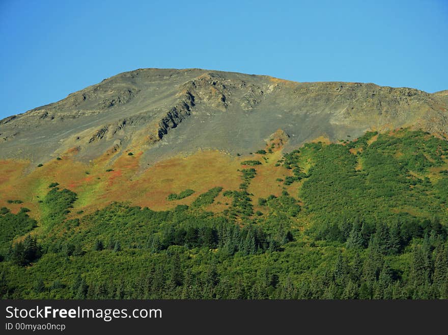 Alaskan Landscape