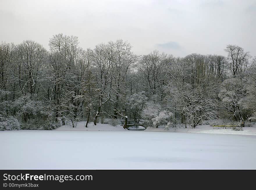 View on iced pond in snowy park