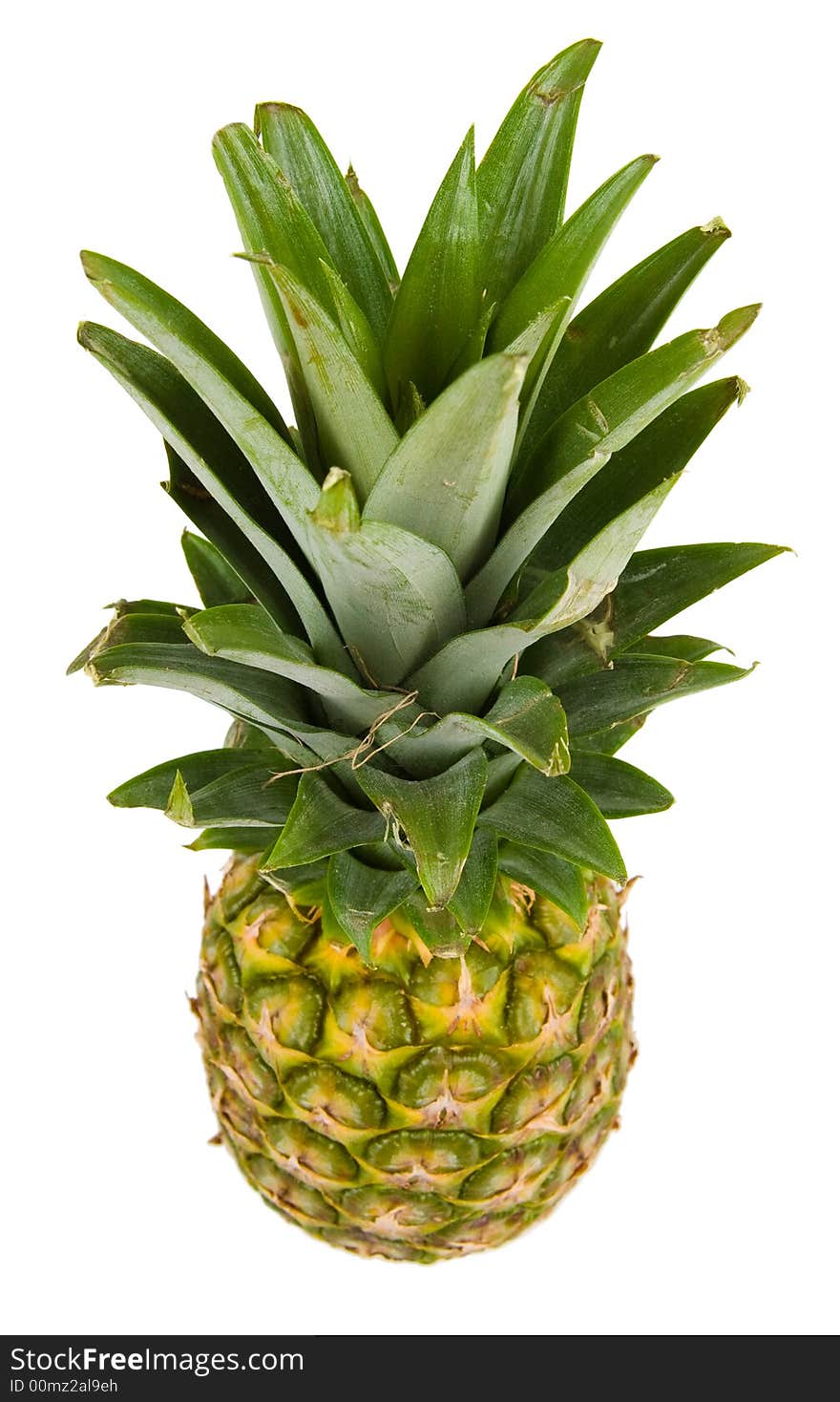 Pineapple top view