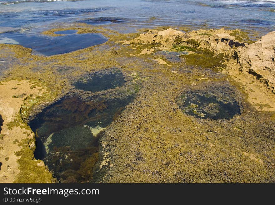 Ocean pools