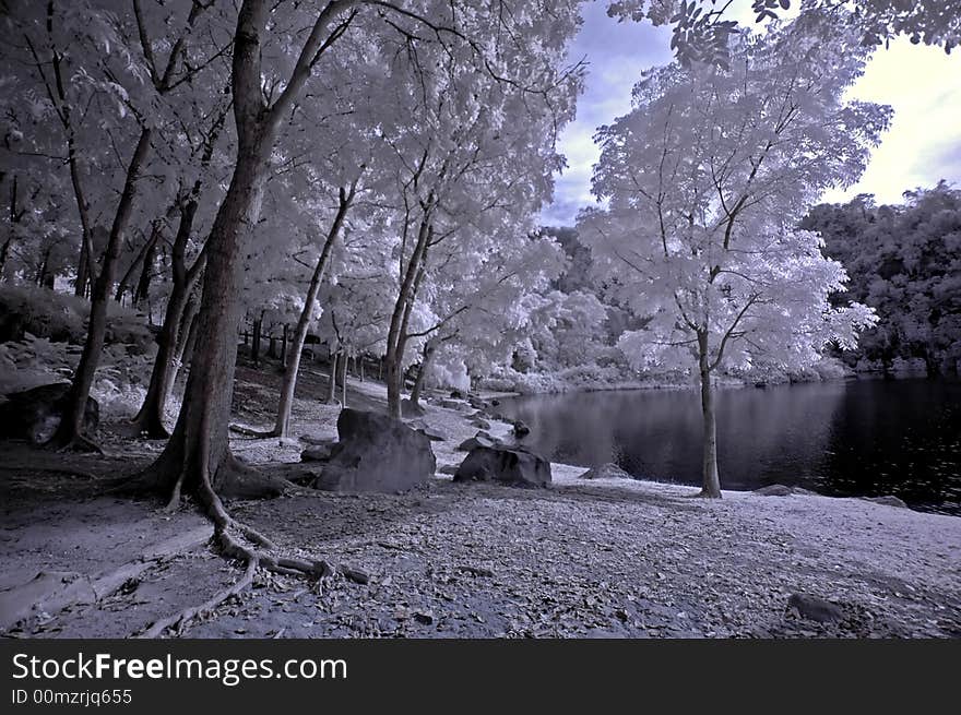 Infrared photo- tree,rock,girl