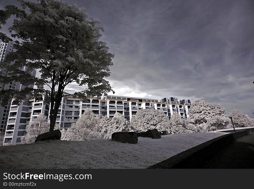 Infrared photo- walk path,flat