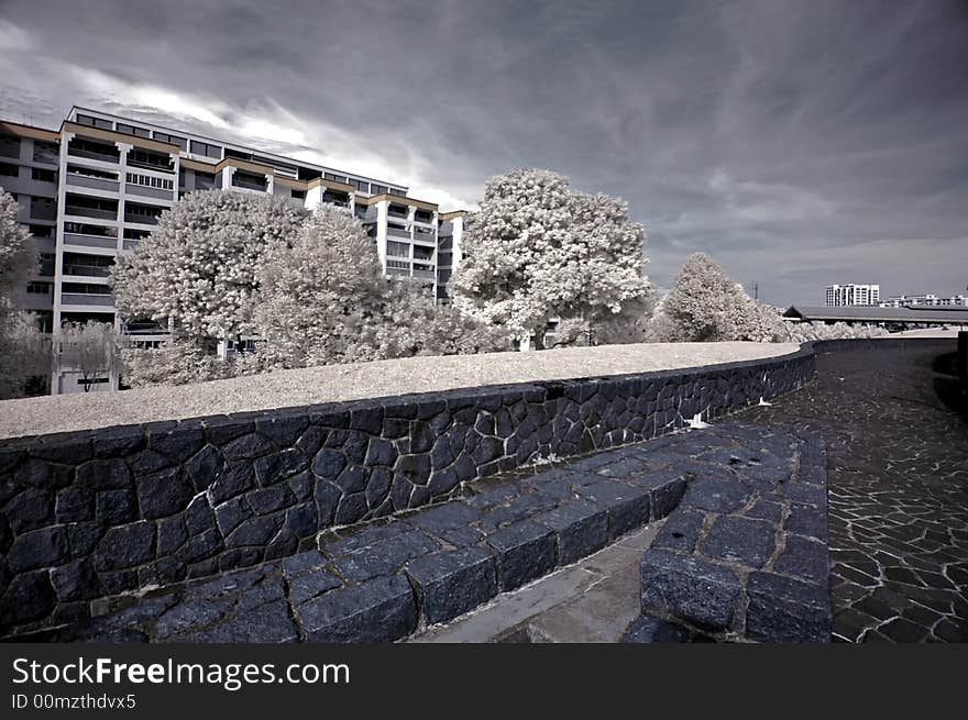 Infrared Photo- Walk Path,flat