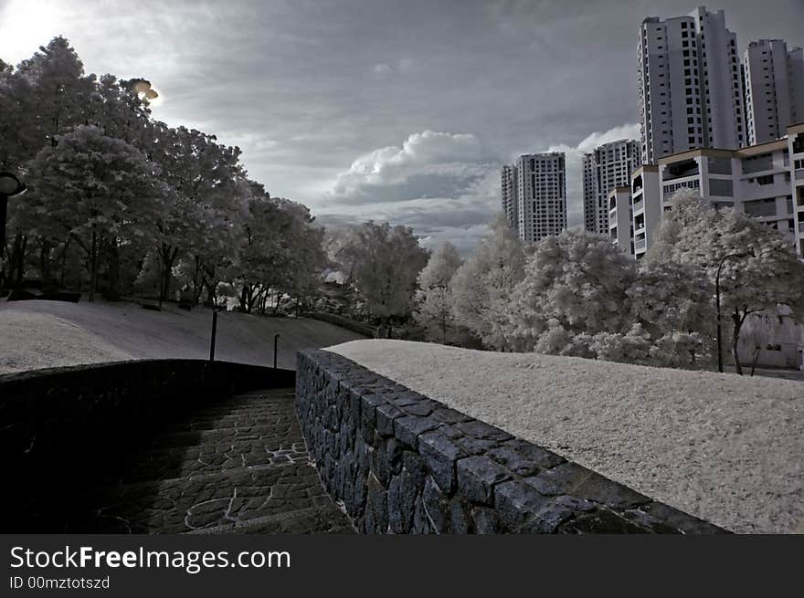 Infrared Photo- Walk Path,flat