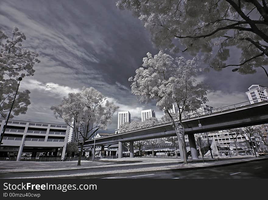 Infrared photo- tree and train