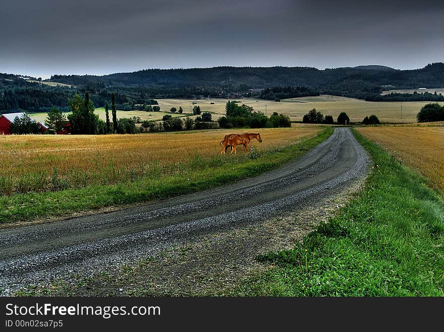 Norwegian landscape in summer time. Norwegian landscape in summer time.