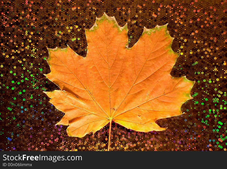 Maple leaf