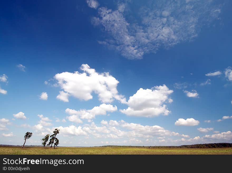 Beautiful sky with four trees