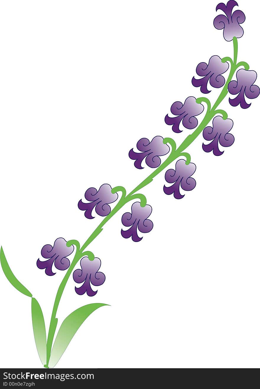 An ottoman design vector flower illustration of lilac hyacinth. An ottoman design vector flower illustration of lilac hyacinth