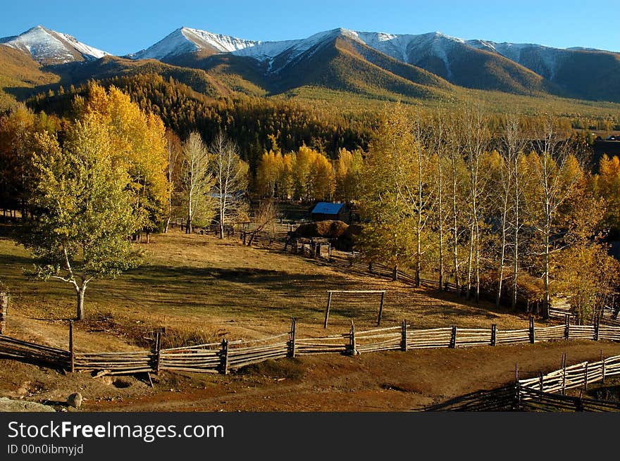 Late autumn.
In Xinjiang,China.
snow mountain and villages.