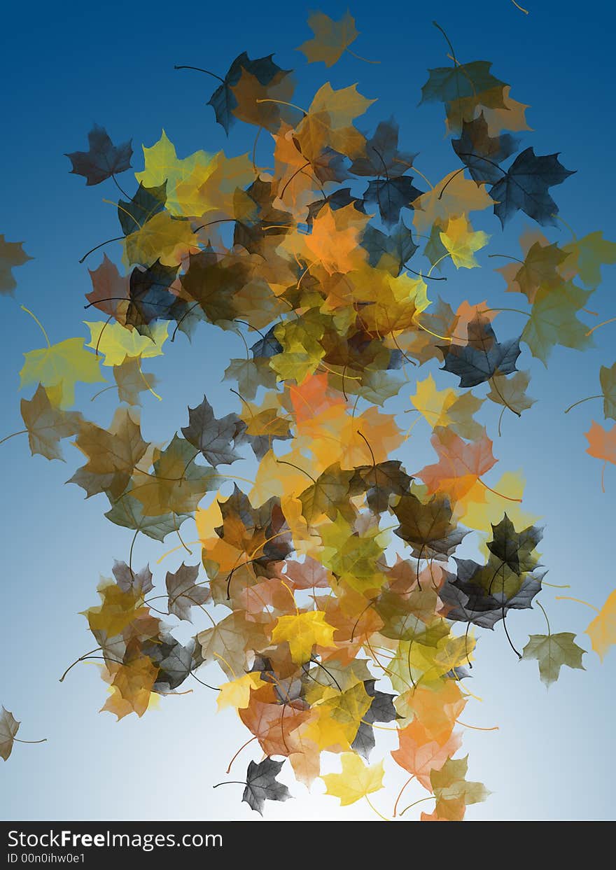 Different falling maple leaves on gradient blue background. Different falling maple leaves on gradient blue background.