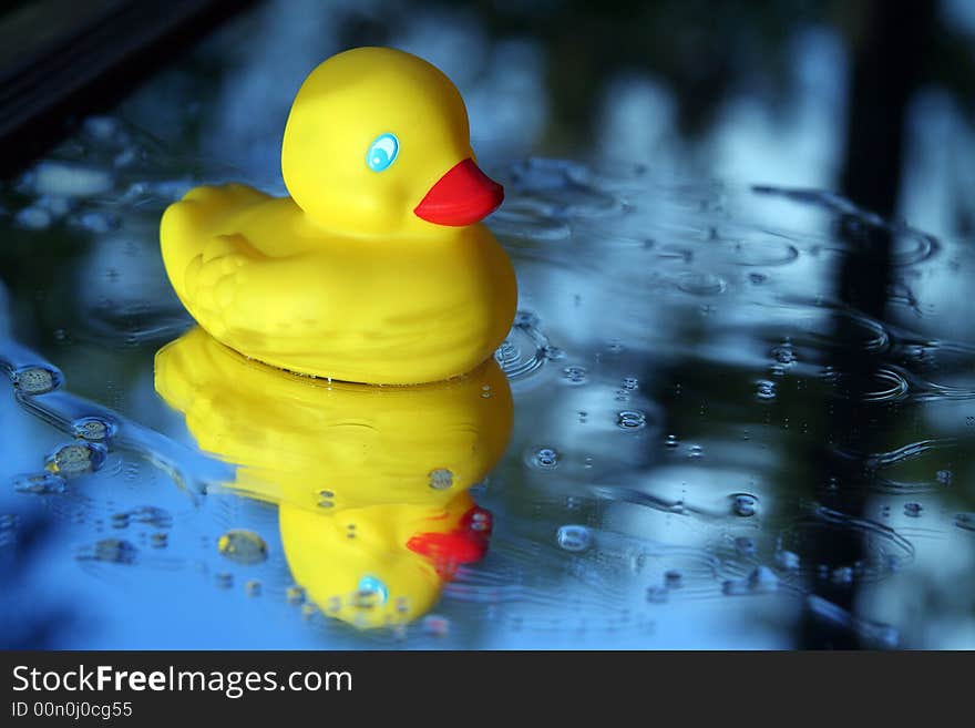 Rubber Ducky