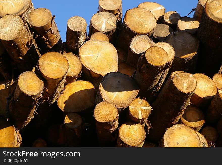 Log piles at a saw mill. Log piles at a saw mill