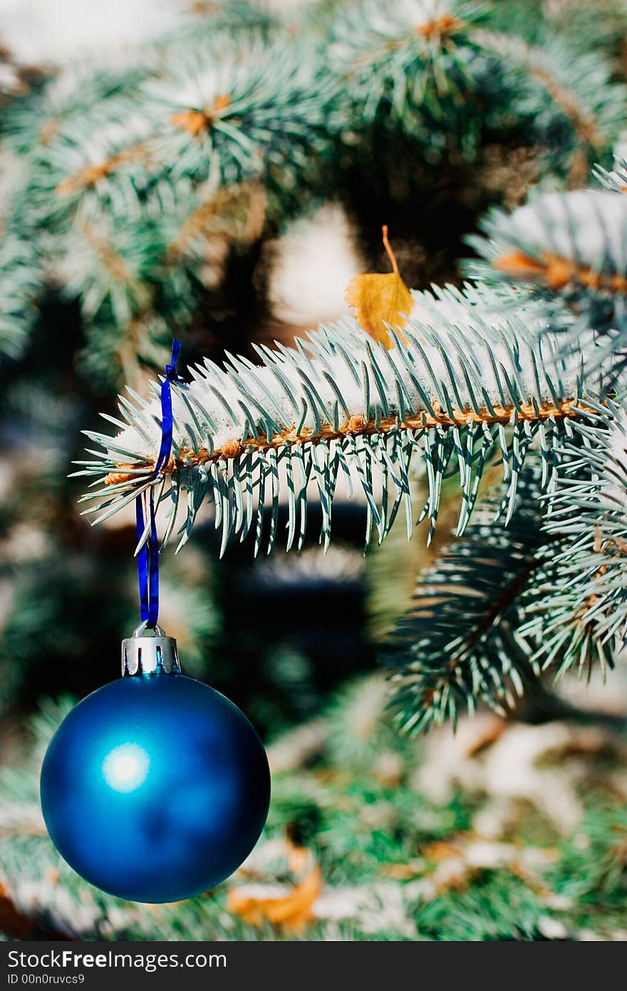 Colors balls  on the Christmas tree. Colors balls  on the Christmas tree