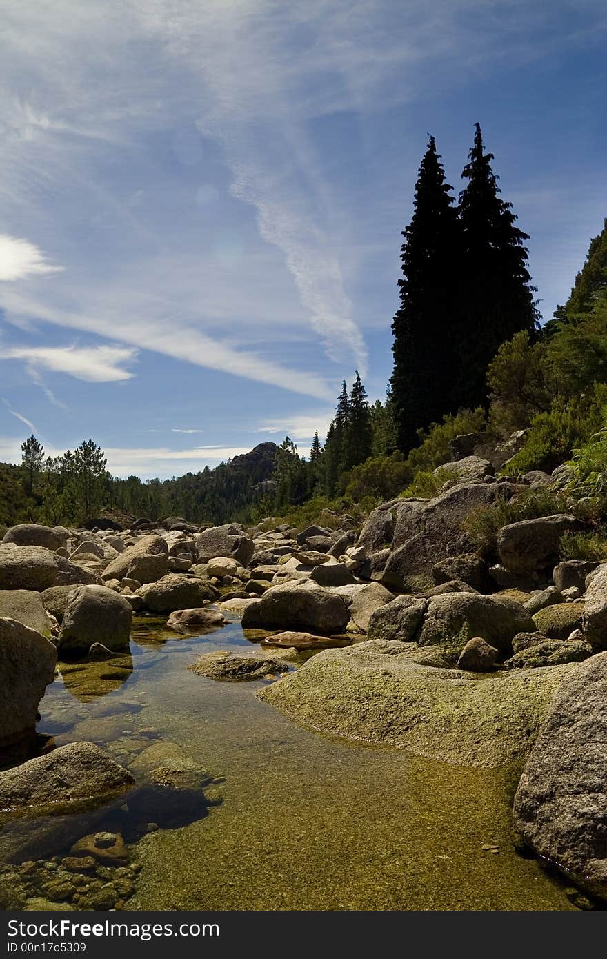 Beautiful mountain landscape - lake and tress