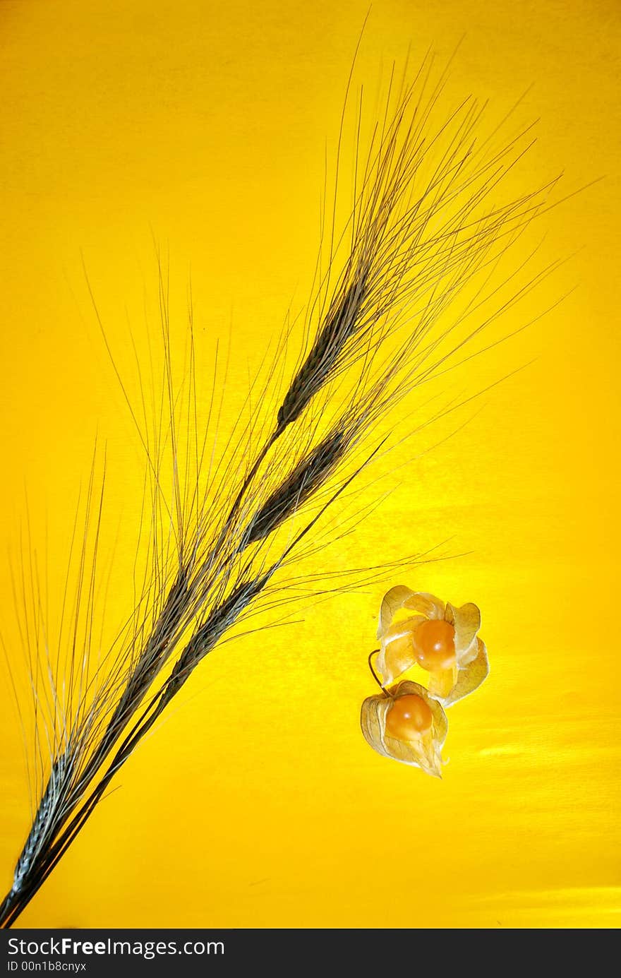 Cereals and physalis