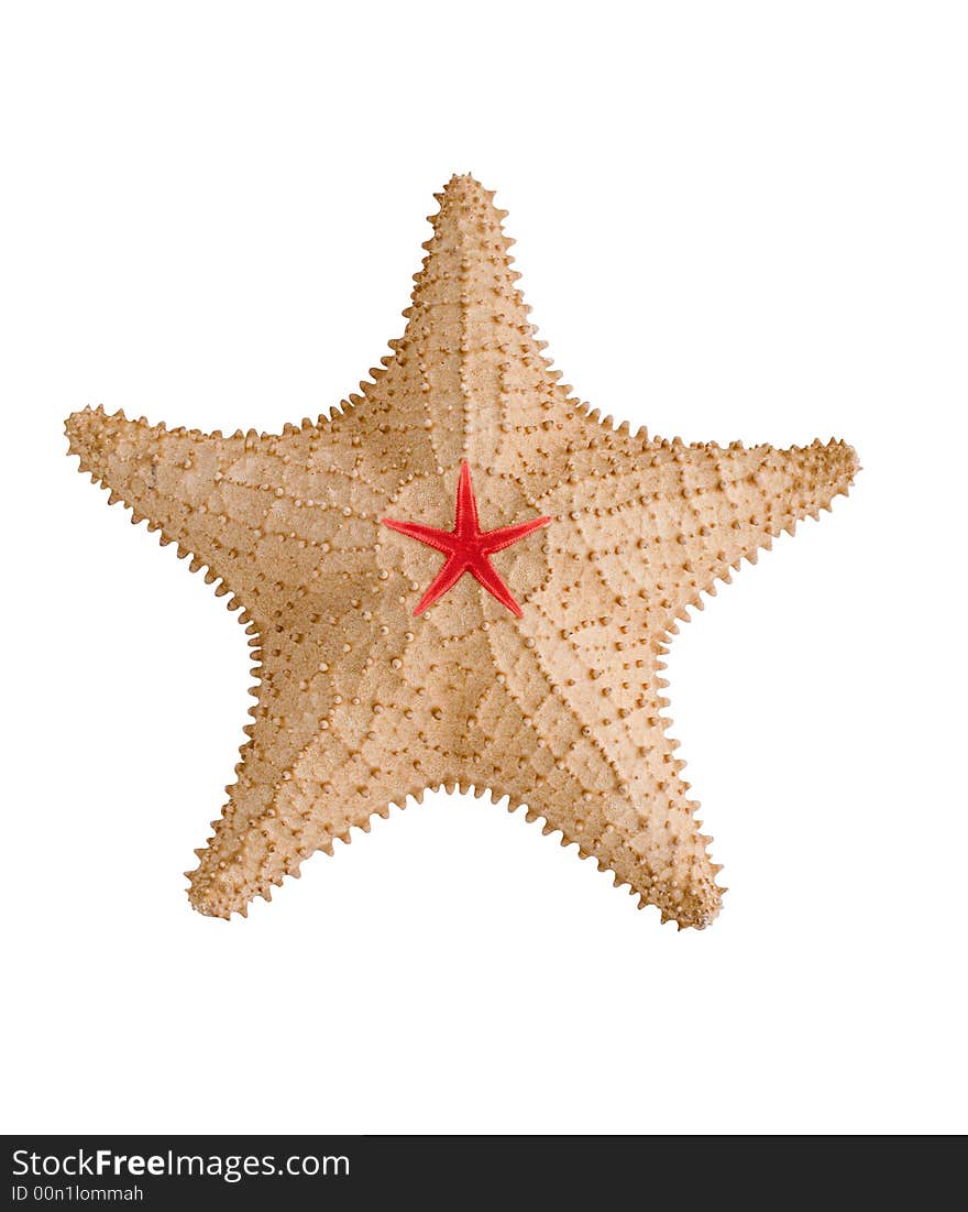 Starfish