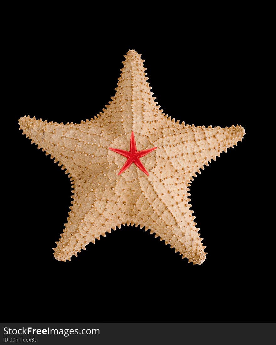 Starfish