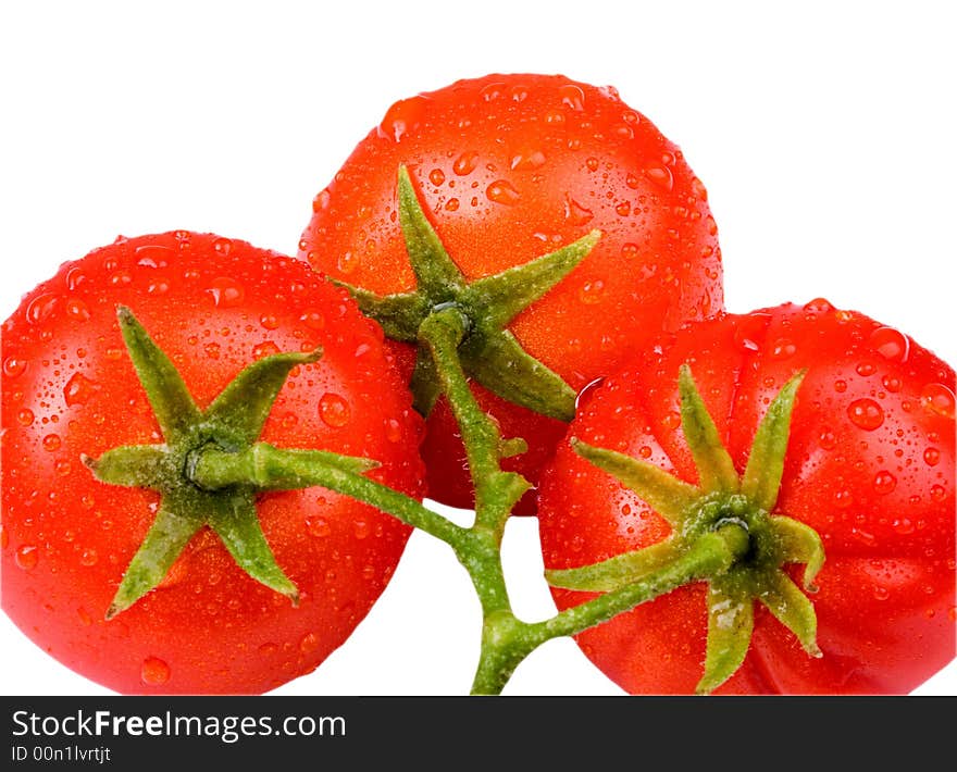 Studio Shot Tomatos, Isolated On White with Clipping Path