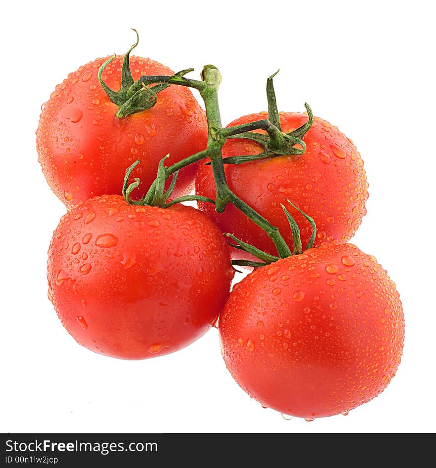 Studio Shot Tomatos, Isolated On White with Clipping Path